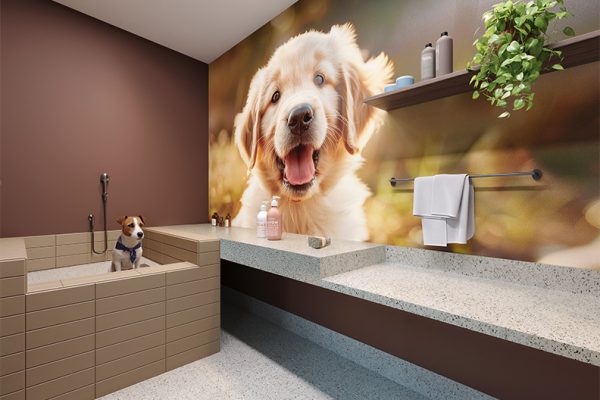 Perspectiva do Pet Care