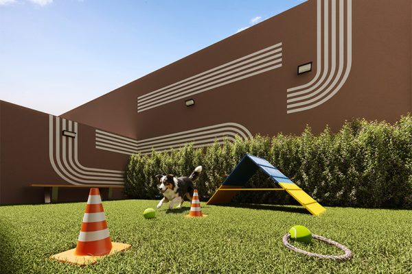 Perspectiva do Pet Place
